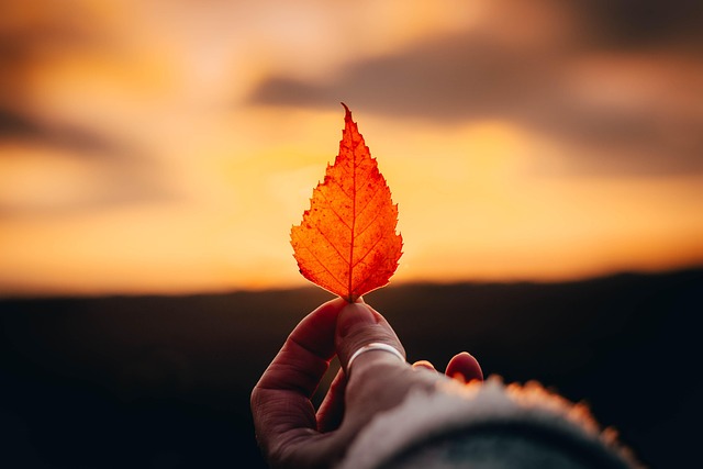 Detail shot of rose gold place setting with single stem flower and handwritten name card
