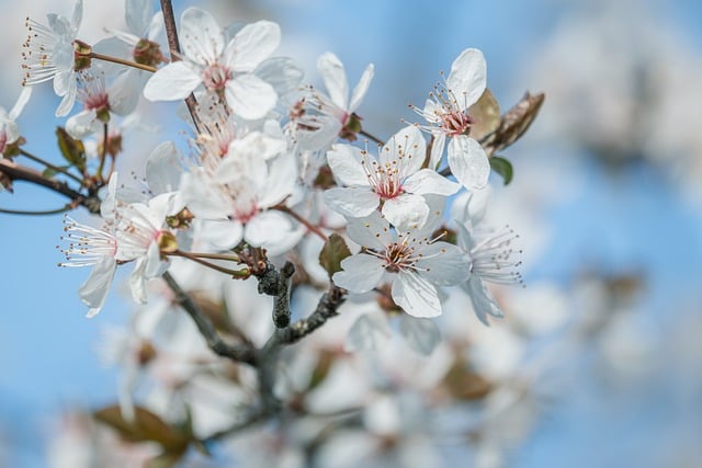 Monthly flower subscription box with mixed seasonal blooms wrapped in tissue paper with handwritten card